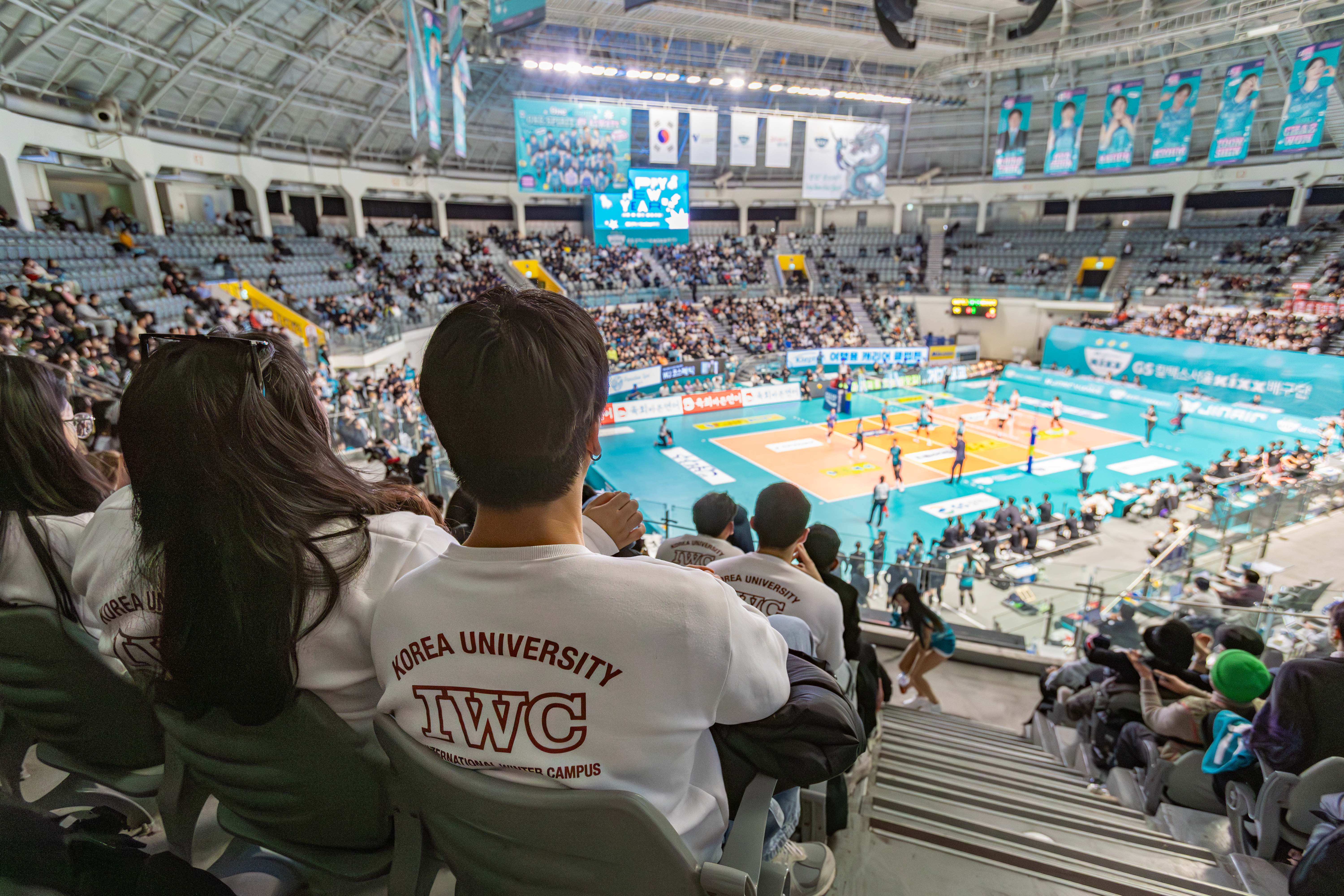 Professional Volleyball Match